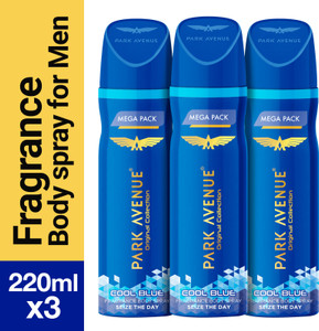 Park Avenue Cool Blue Combo Deodorant Spray - Image 1