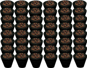 Crazyy Shop Pure Natural Fragrance Hawan Loban Dhoop Cups Combo Pack Of 48 Pcs Dhoop Cups Guggul Dhoop