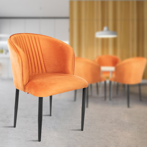 Rose Designer Chairs ROSE Fire Cafe Chair, Living Room Chair, Modern Velvet Metal Dining Chair