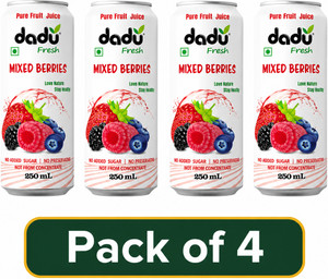 Dadu Fresh Mixed Berries Juice - 250 ML (Pack of 4)