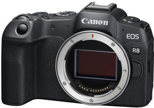 Canon EOS R8 (Body Only) — Cameras
