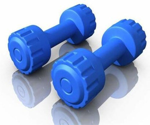 Protoner PVC 4 Kg ( 2kg + 2kg ) Fixed Weight Dumbbell