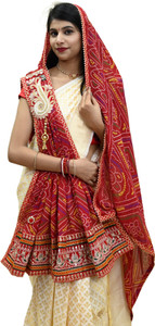 Ranisatiya Creation Poly Georgette Embroidered Women Dupatta