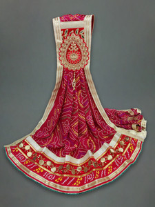 Ranisatiya Creation Poly Georgette Printed Women Dupatta