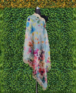 kaizen International Organza Printed Women Dupatta