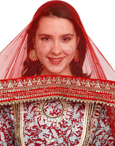 Radha Rang Wedding & Bridal Dupatta Net Embroidered, Embellished Women Dupatta