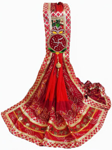 Avilhara Poly Georgette Embroidered Women Dupatta
