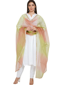 seriesshpping Organza Self Design Women Dupatta