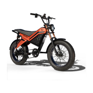 Hoopoe Bikes XO-Ride Conqueror Electric Cycle-250W Motor | 36V 15AH ...