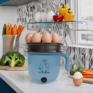 CREATION BAZAAR Mini Pot for Boiling Water, Eggs, Cooking, Noodles, Multifunctional Rice Cooker Egg Cooker, Food Steamer