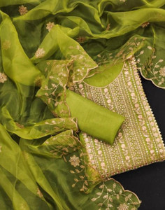 FREYLU Organza Embroidered Salwar Suit Material