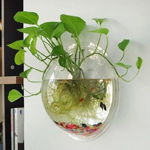 TWINS TWINS Hanging Fish Bowl Mounted Plant Pot for Fish I Plant Wall Decor Round Ends Aquarium Tank