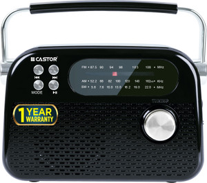 CASTOR FM820BT Portable Radio with FM & Bluetooth Speaker, USB MP3 Player, Rechargeable FM Radio