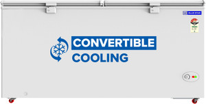 Blue Star 515 L Double Door Deep Freezer - Image 6