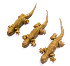 BBS DEAL Pack of Fake Lizard House Gecko Rubber Practical Jokes Insects  Toy For Make Fool and fun gag toy Gag Toy Price in India Buy BBS DEAL