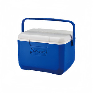 COLEMAN 5 QT Travelling Ice Box, Keeps ice for 1 day with Thermo ozone (TM) insulation