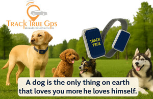 TRACKTRUE Smart GPS Tracker: Real-Time Location Tracking for Dogs, Cats ...