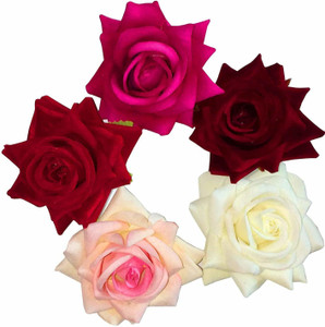 Tia Crafts Multi colour Rose flower hair clips for women and Girls ( Set of 5) Hair Clip