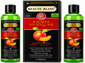 BEAUTE BLANC Fruit Vinegar Hair Color Black Hair in 10 Minutes (100*2) , Natural Black, Black