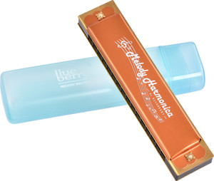 BLUEBERRY R-1601 Harmonica for Beginners, Harmonica for kids,16 Holes 32 Tunes Mouth Organ