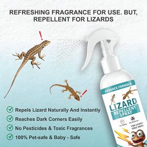 LootZoo Herbal Lizard Repellent Spray – Indoor Safe Pest Control Solution