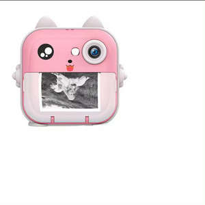 ALLY VUE CAMERA INSTANT PRINTER 2.4 INCH SCREEN 2400W PIXEL Instant Camera