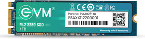 EVM M.2 (2280) SATA 1 TB All in One PC's, Desktop, Laptop Black SATA III Internal Solid State Drive (SSD) (EVMM2/1TB)