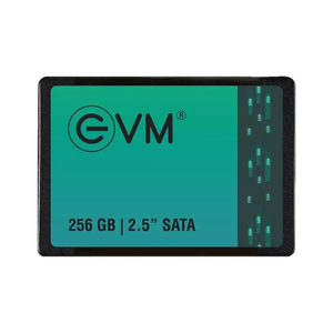 EVM EVM25 256GB Black SATA SSD - Image 6