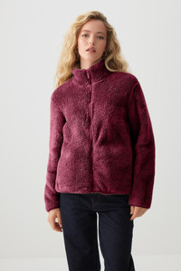 COLORCHAKRA Full Sleeve Solid Women Jacket