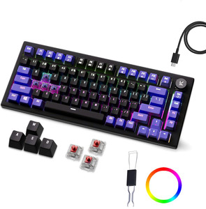 Kreo Hive RGB Gaming Mechanical Keyboard, RGB Keyboards, Braided Cable, Led Wired USB Tenkeyless Gaming Keyboard Compatible with Desktop, Laptop, Mac