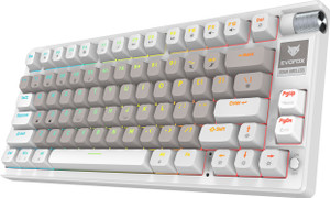 EVOFOX Ronin TKL RGB Mechanical Wireless Tenkeyless Desktop Keyboard Compatible with Desktop, Laptop, Mac
