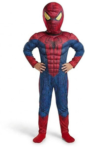 Raj Costume Superhero Costume For Fancydress Cosplay Bodysuit for Boys Kids Costume Wear