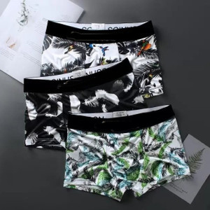 Cavendres Brief For Boys