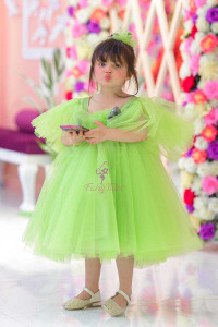 RUDRAKSH CREATION Indi Girls Midi/Knee Length Casual Dress