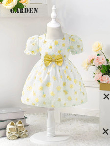 SHRVAAY GROUP Baby Girls Above Knee Festive/Wedding Dress