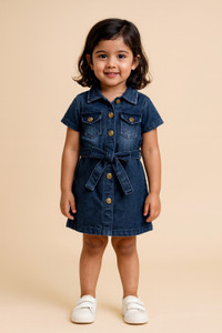 SIDDHIVINAYAKH Girls Midi/Knee Length Casual Dress