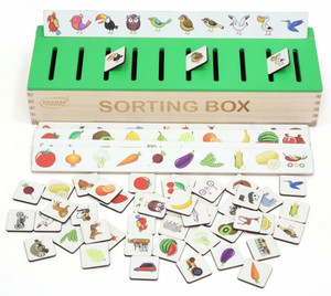 Aditi Toys Wooden Sorting Box Animal, Fruits, Shapes Matching Preschool Learning Activities