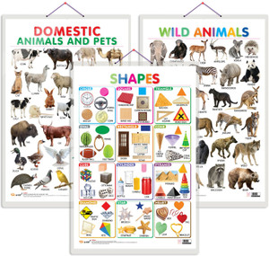 Set of 3 Domestic Animals and Pets, Wild Animals and Shapes Early ...