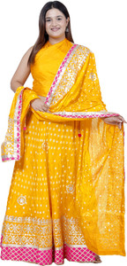 PAHNAVA Embroidered Semi Stitched Lehenga Choli