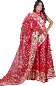 PAHNAVA Printed Semi Stitched Lehenga Choli