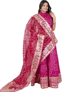 PAHNAVA Printed Semi Stitched Lehenga Choli