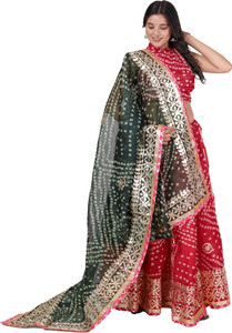 PAHNAVA Printed Semi Stitched Lehenga Choli
