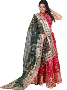 PAHNAVA Printed Semi Stitched Lehenga Choli