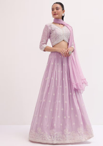 FAB WINDOW Embroidered Semi Stitched Lehenga Choli