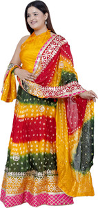 PAHNAVA Embroidered Semi Stitched Lehenga Choli