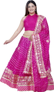 PAHNAVA Embroidered Semi Stitched Lehenga Choli