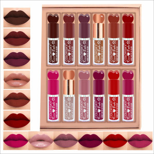 Color Sky Lipstick Combo Set of 12 Pcs Waterproof Matte Liquid Lipcolor