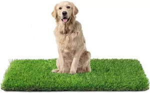 Worthful Creations Polyester Floor Mat