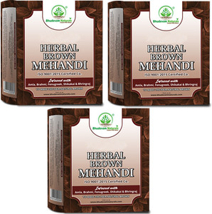 Bhudevam Naturals Brown Henna Mehndi Powder for Hair Care ...