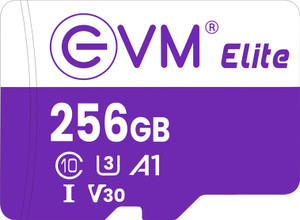 EVM EETF/256GU3 MEMORY CARD 256 GB TF Card Class 10 100 MB/s  Memory Card Compatible with Computer